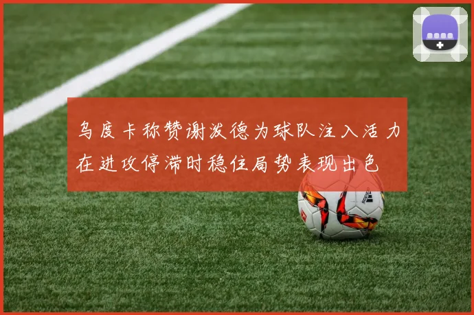 乌度卡称赞谢泼德为球队注入活力在进攻停滞时稳住局势表现出色