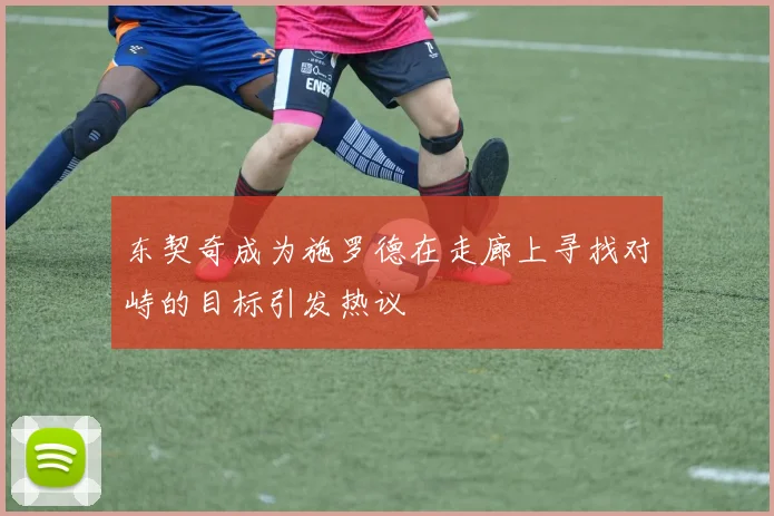 东契奇成为施罗德在走廊上寻找对峙的目标引发热议