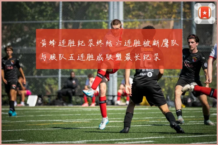 黄蜂连胜纪录终结六连胜被断鹰队与狼队五连胜成联盟最长纪录