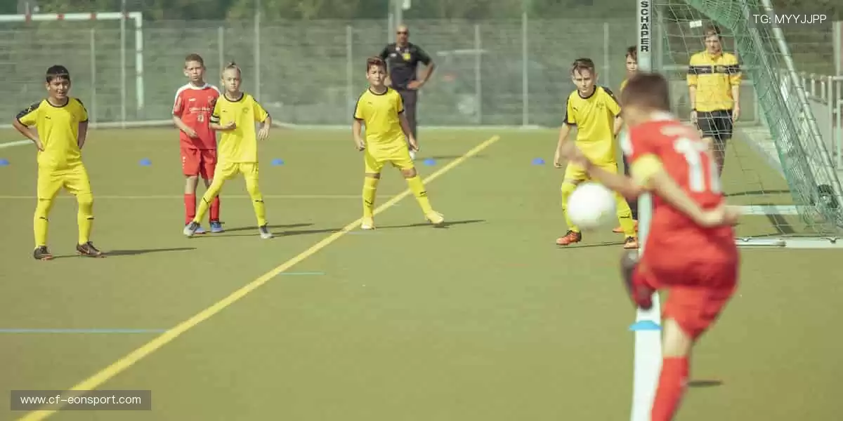 📺高清直播，每一个进球都让你身临其境！🏀